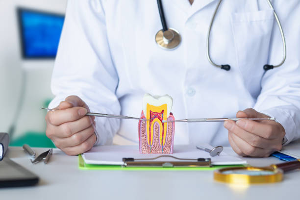 Best Tooth Infection Emergency Dentist  in Fort Washakie, WY
